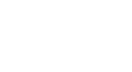 steinwirtlogo